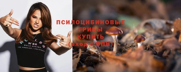 МДПВ Арсеньев