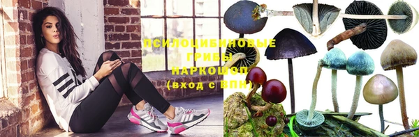 МДПВ Арсеньев