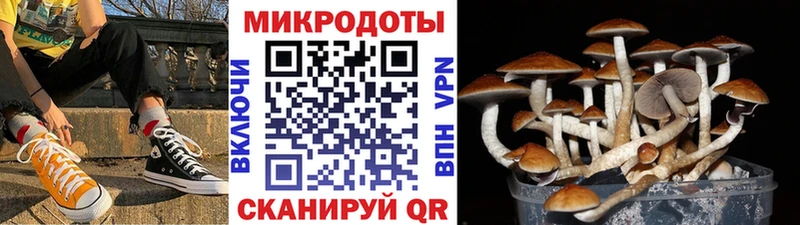 Галлюциногенные грибы Psilocybine cubensis  цены   Полевской 